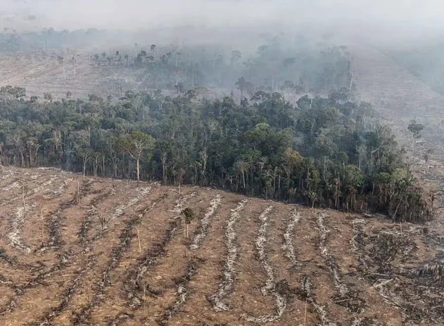 Desmatamento na Amazônia