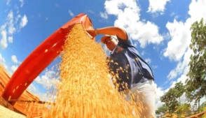 O vice-presidente e ministro do Desenvolvimento, Indústria, Comércio e Serviços, Geraldo Alckmin, informou nesta sexta-feira (27) que já encaminhou à Casa Civil a proposta que estabelece as salvaguardas destinadas a proteger setores produtivos brasileiros no acordo Mercosul-UE.