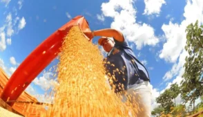 agro no Brasil 2026