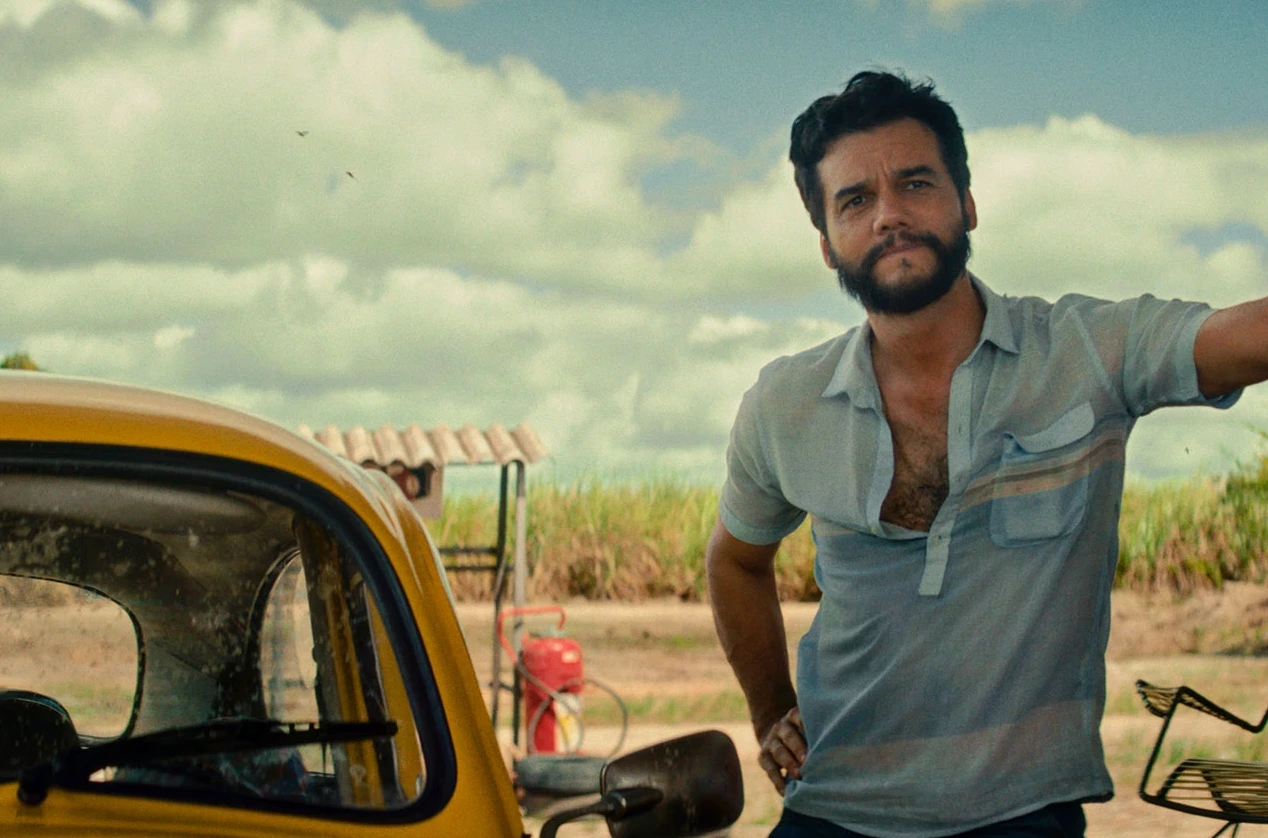 Oscar 2026: confira as categorias em que Brasil disputa e os principais concorrentes