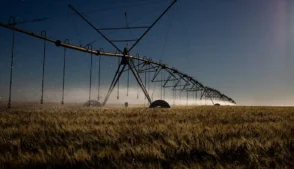 O ministro da Agricultura, Carlos Fávaro, afirmou que o momento exige cautela ao avaliar os possíveis impactos do conflito envolvendo o Irã sobre o agronegócio brasileiro. Segundo ele, ainda é cedo para projetar efeitos concretos sobre o setor, apesar da apreensão observada no mercado.