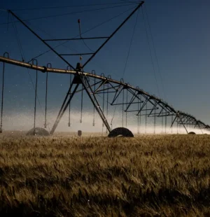 O ministro da Agricultura, Carlos Fávaro, afirmou que o momento exige cautela ao avaliar os possíveis impactos do conflito envolvendo o Irã sobre o agronegócio brasileiro. Segundo ele, ainda é cedo para projetar efeitos concretos sobre o setor, apesar da apreensão observada no mercado.