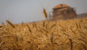 A falta de capacidade para armazenar grãos no Brasil deve atingir o maior nível da história em 2026, ampliando um gargalo estrutural do agronegócio nacional. A previsão é que o país consiga estocar pouco mais de 60% da safra prevista para este ano, segundo estimativas citadas pela Confederação da Agricultura e Pecuária do Brasil (CNA).