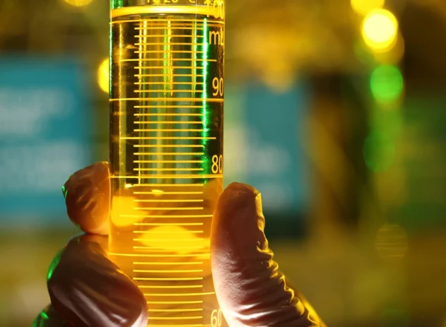 O Conselho Nacional de Política Energética (CNPE) aprovou uma resolução que consolida a exigência de que todo o biodiesel destinado à mistura obrigatória ao diesel seja produzido por unidades autorizadas pela Agência Nacional do Petróleo, Gás Natural e Biocombustíveis (ANP), na prática afastando a possibilidade de importação para esse fim.