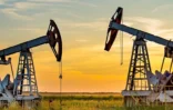 Petróleo
