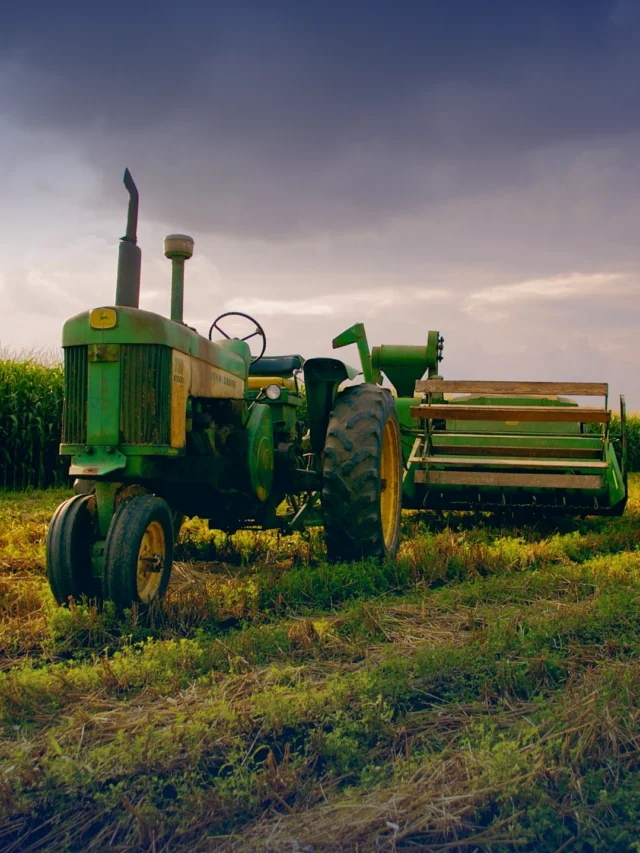 Mato Grosso segue como palco de grandes investimentos no agronegócio; veja