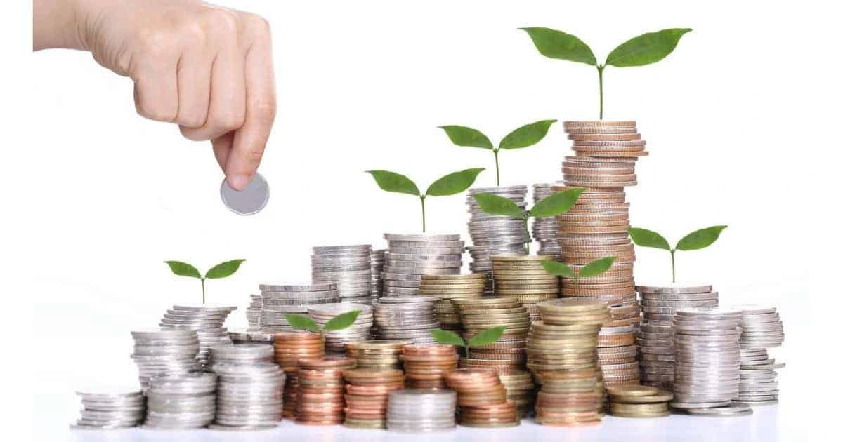 O preço invisível do “risco zero”