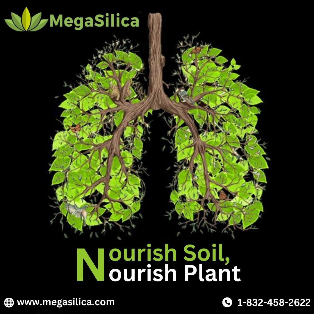 Organic Soil Conditioner