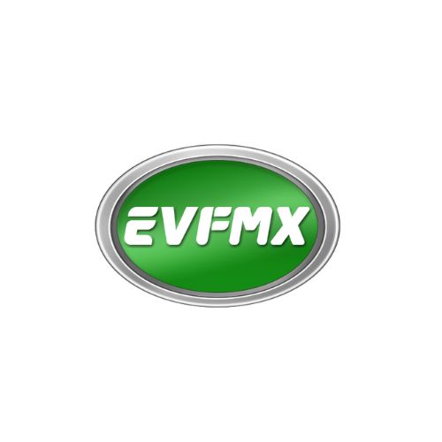 Jiangsu FMX Electric Vehicle Co Ltd Jiangsu FMX Electric Vehicle Co Ltd