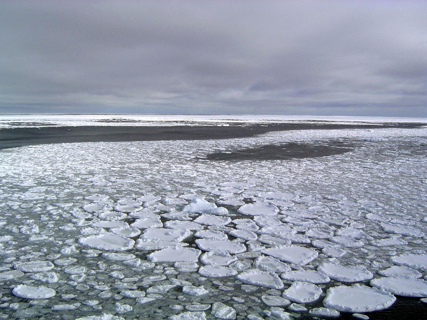 Scientists: No quick fix to reverse Antarctic sea ice loss