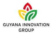 Guyana Innovation Group (GIG) Unveils Ambitious Vision: Guyana Innovation Village at the Heart of Silica City Masterplan