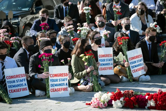 2023年11月8日,国会议员助手在华盛顿特区国会大厦门前举行示威,呼吁停火。