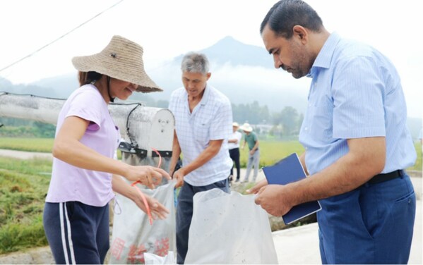 9月19日,穆罕默德·阿什法克(右)访问湖北省罗田县红莲型杂交水稻试验田。
