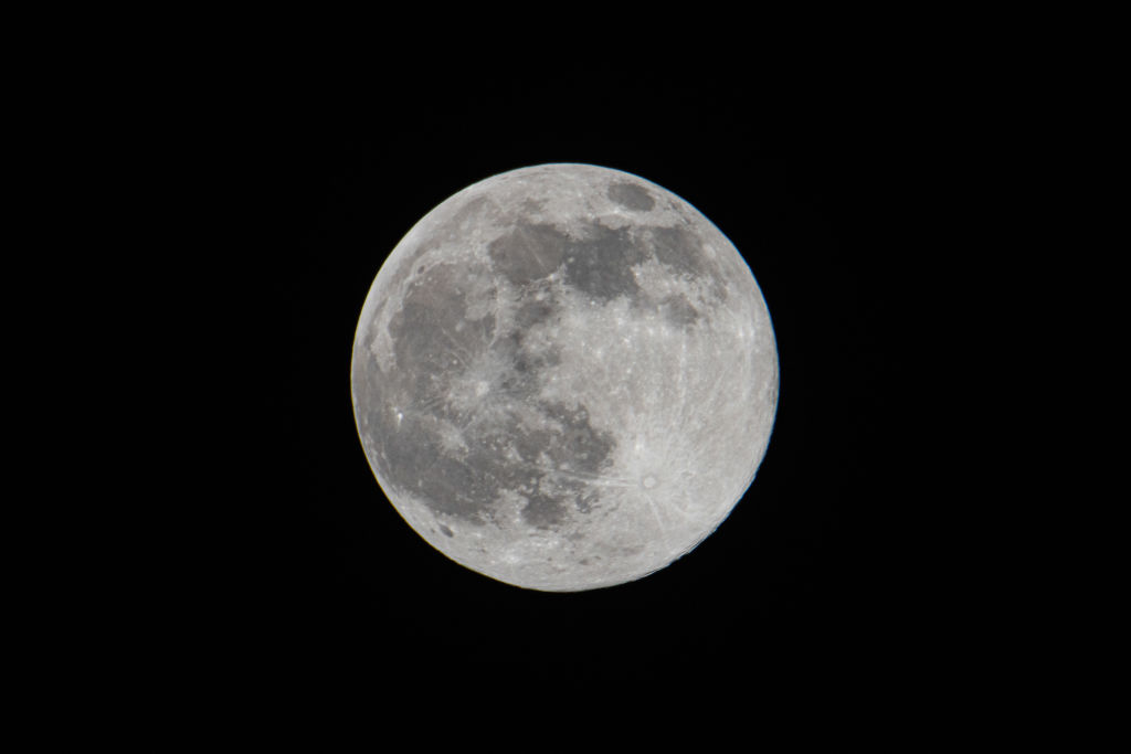 Full Wolf Moon In The Netherlands