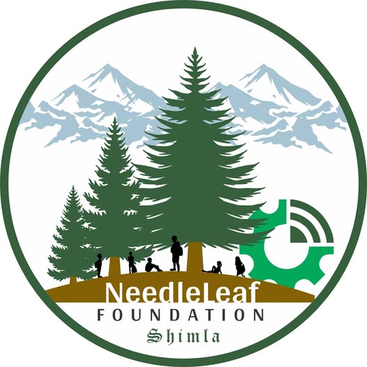 Needleleaf Foundation Logo Needleleaf Foundation Logo