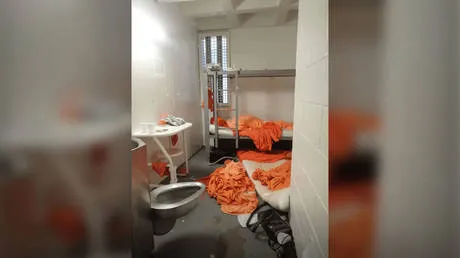 Epstein Coba Bunuh Diri Minimal Tiga Kali di Penjara – Petugas Menertawakan Peringatan, Hubungan dengan Clinton & Gates Kembali Sorotan