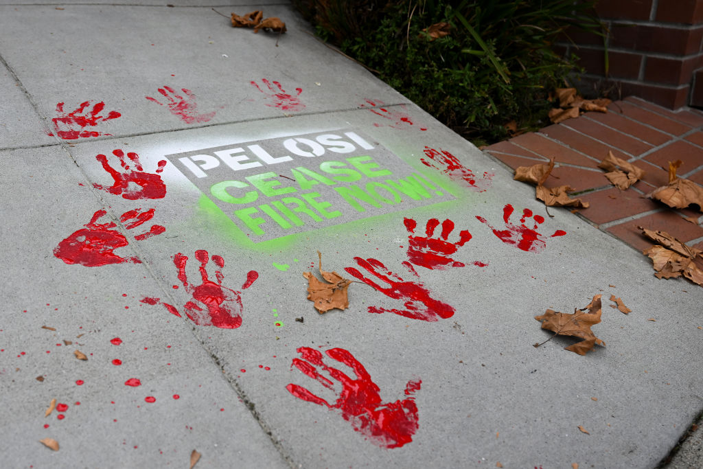 Code Pink Activists Hits Nancy Pelosi's House Calling for Ceasefire in Gaza