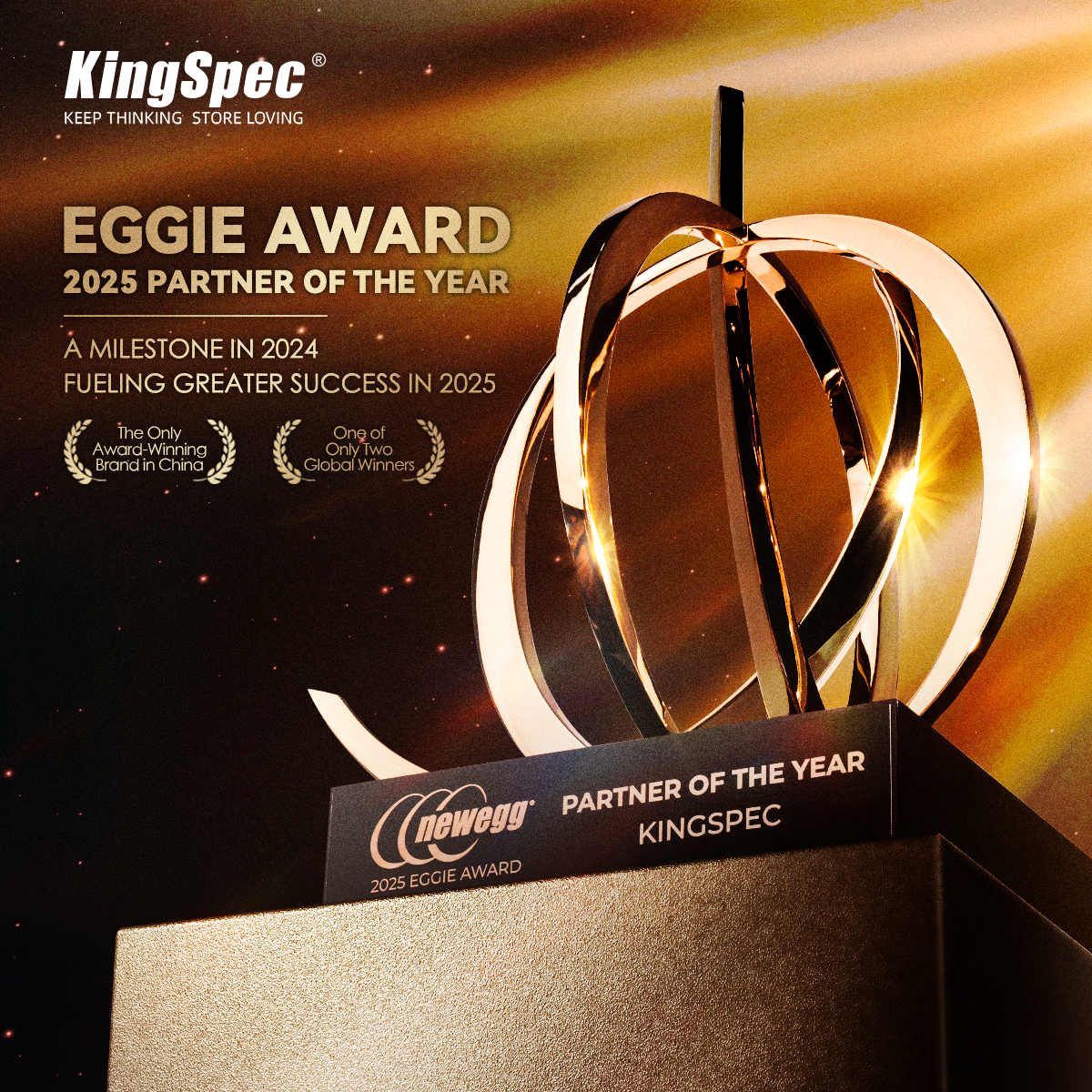KingSpec Honored as Newegg’s “2025 Partner of the Year”