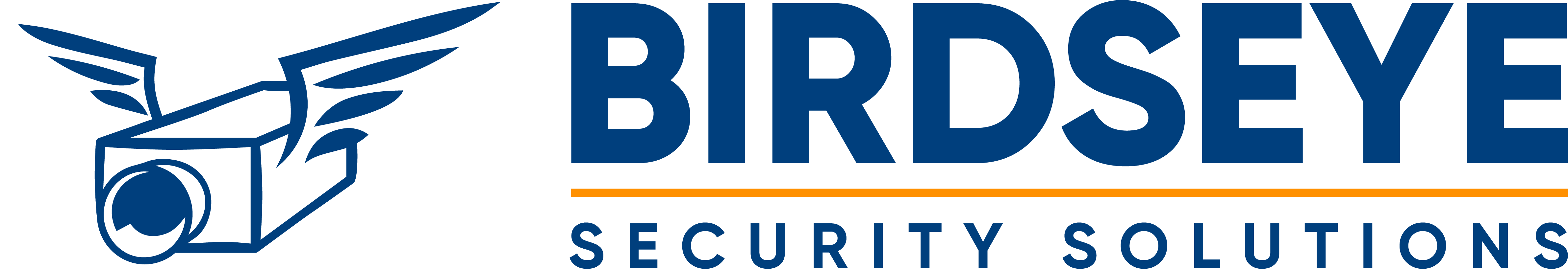 BIRDSEYE Security Solutions BIRDSEYE Security Solutions