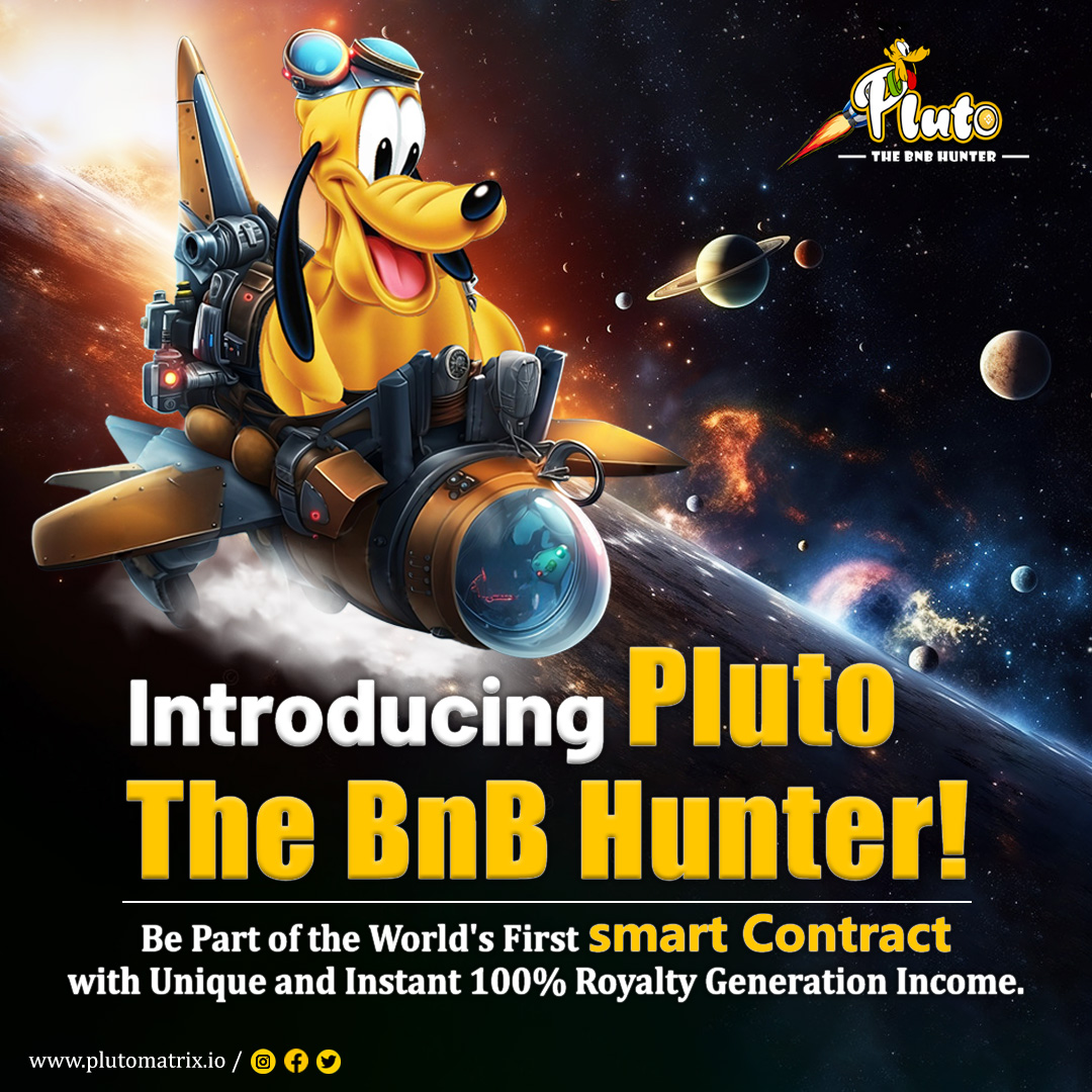 Pluto bnb