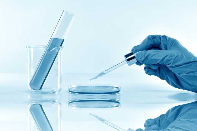 137ab69e760a7bb9948f139c8e2adae2 FDA Roundup: January 3, 2025