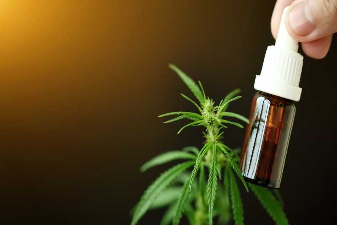 696d36b2b4461454f8d39b7a1ed7a147 1 Terrabis Strengthens Multi-State Growth with New Woodstock Dispensary in Illinois