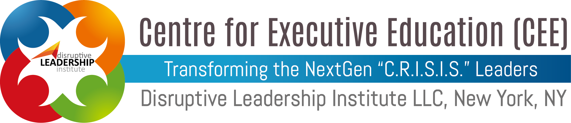 Disruptive Leadership Institute LLC New York NY Disruptive Leadership Institute LLC New York NY