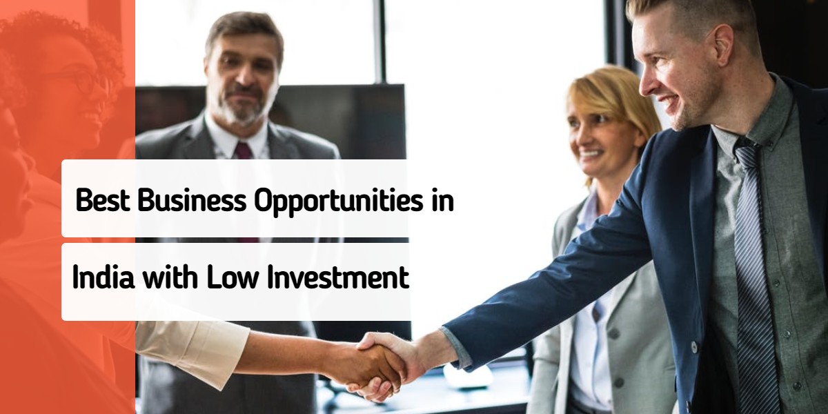 Best DMIT Business Opportunities in India with Low Investment by Schools Of Excellence