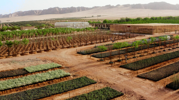 RCU Plant Nursery in AlUla