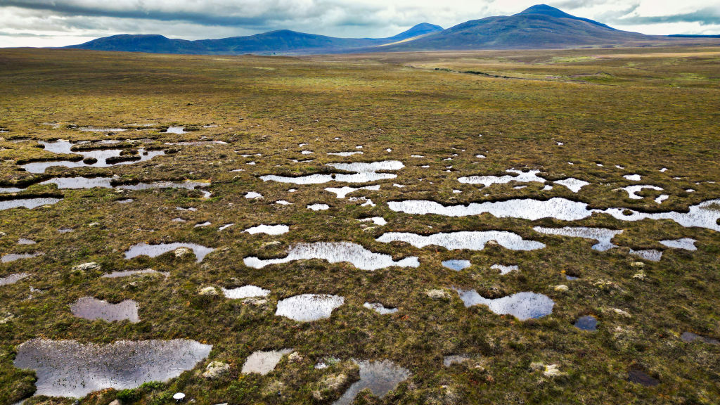 Ang Flow Country’s peatland, sa Forsinard, Scotland, ang pinakamalaking tuloy-tuloy na blanket bog sa Europa na nag-iimbak ng 400 milyong metric ton, nakita dito noong Aug. 16, 2023.