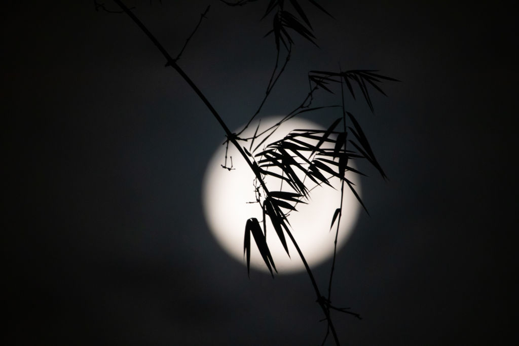 Ang buong Harvest moon ay tumataas sa ibabaw ng kalangitan sa Ungaran, Gitnang Java Province, Indonesia noong Setyembre 11, 2022. 