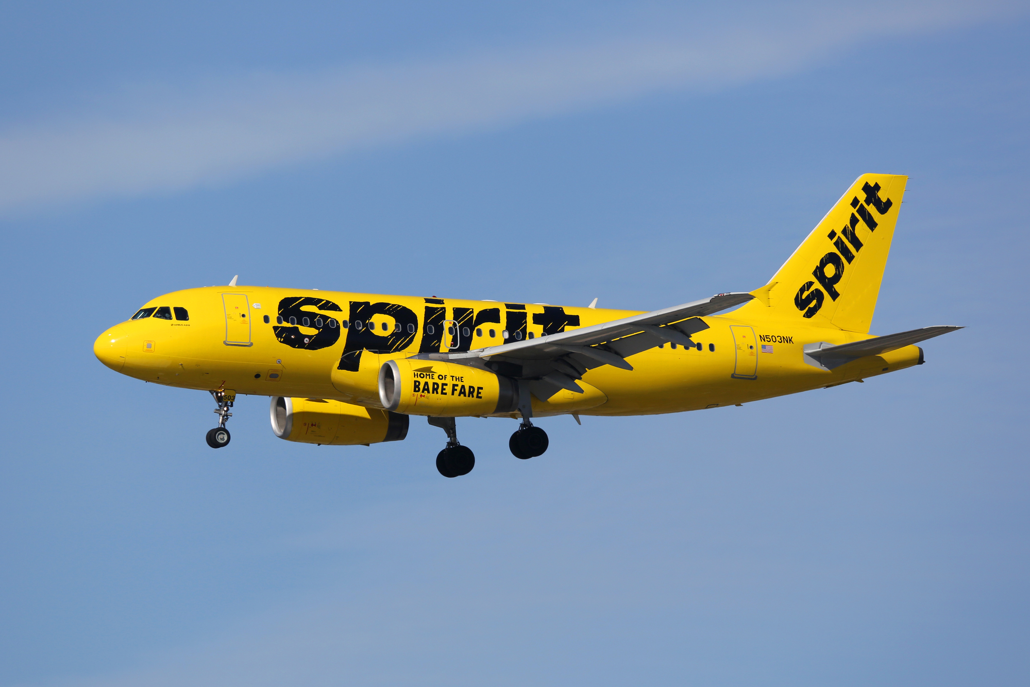 Spirit Airlines Airbus A319 airplane