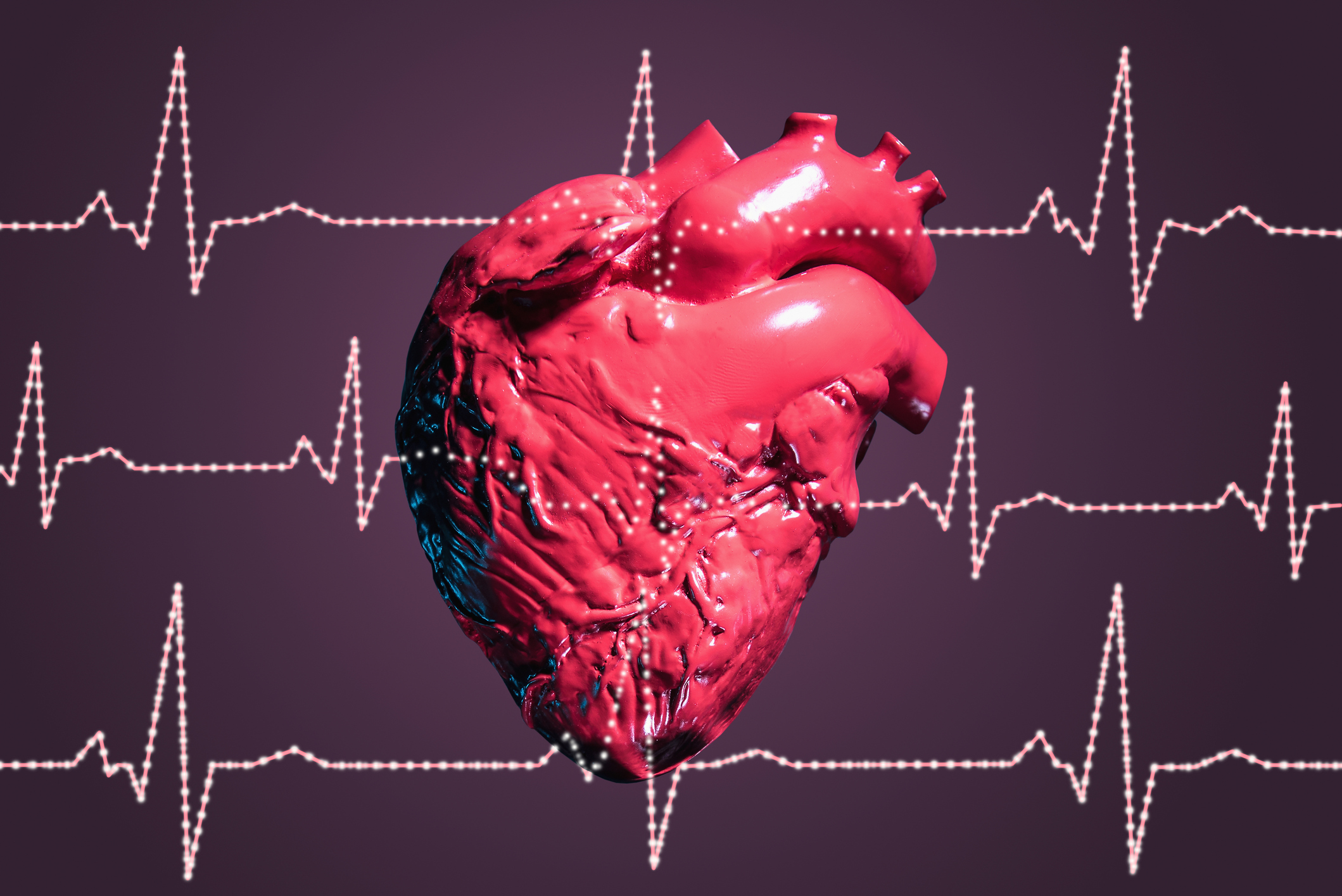 Human heart and pulse traces