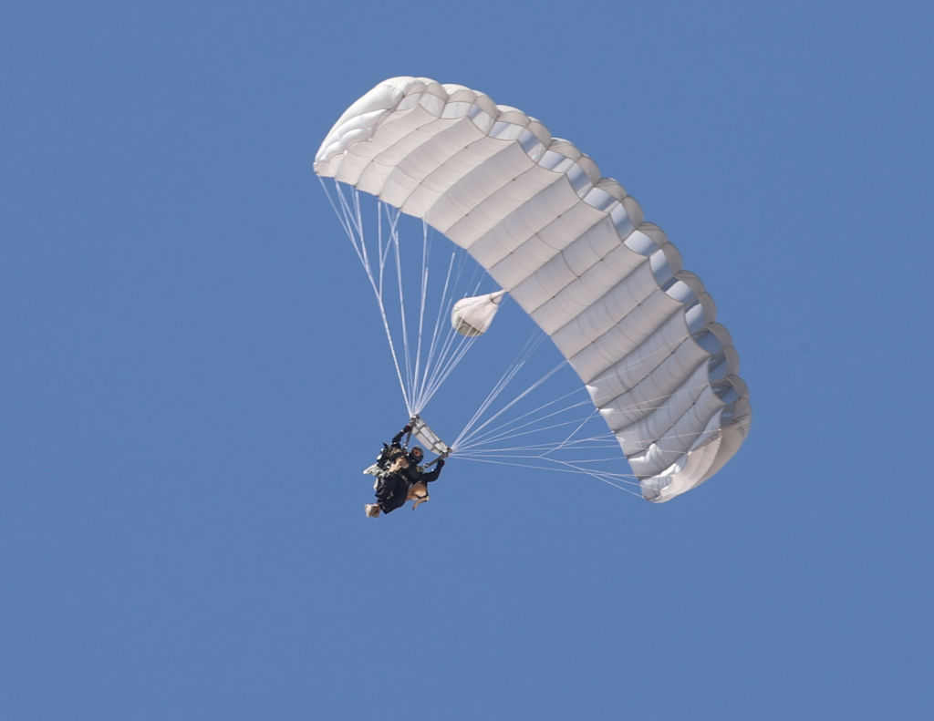 Skydiving training of search and rescue Belgian Malinois 'Maca'