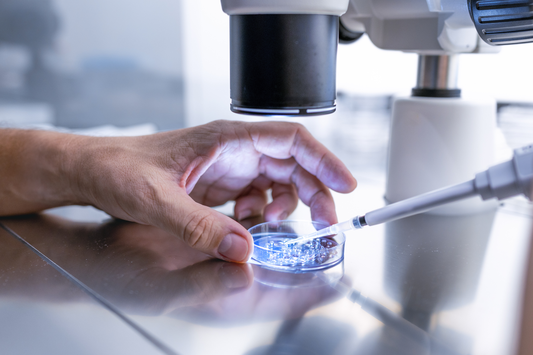 Close up In the fertility laboratory the Doctor preparing embryo cultivation plates