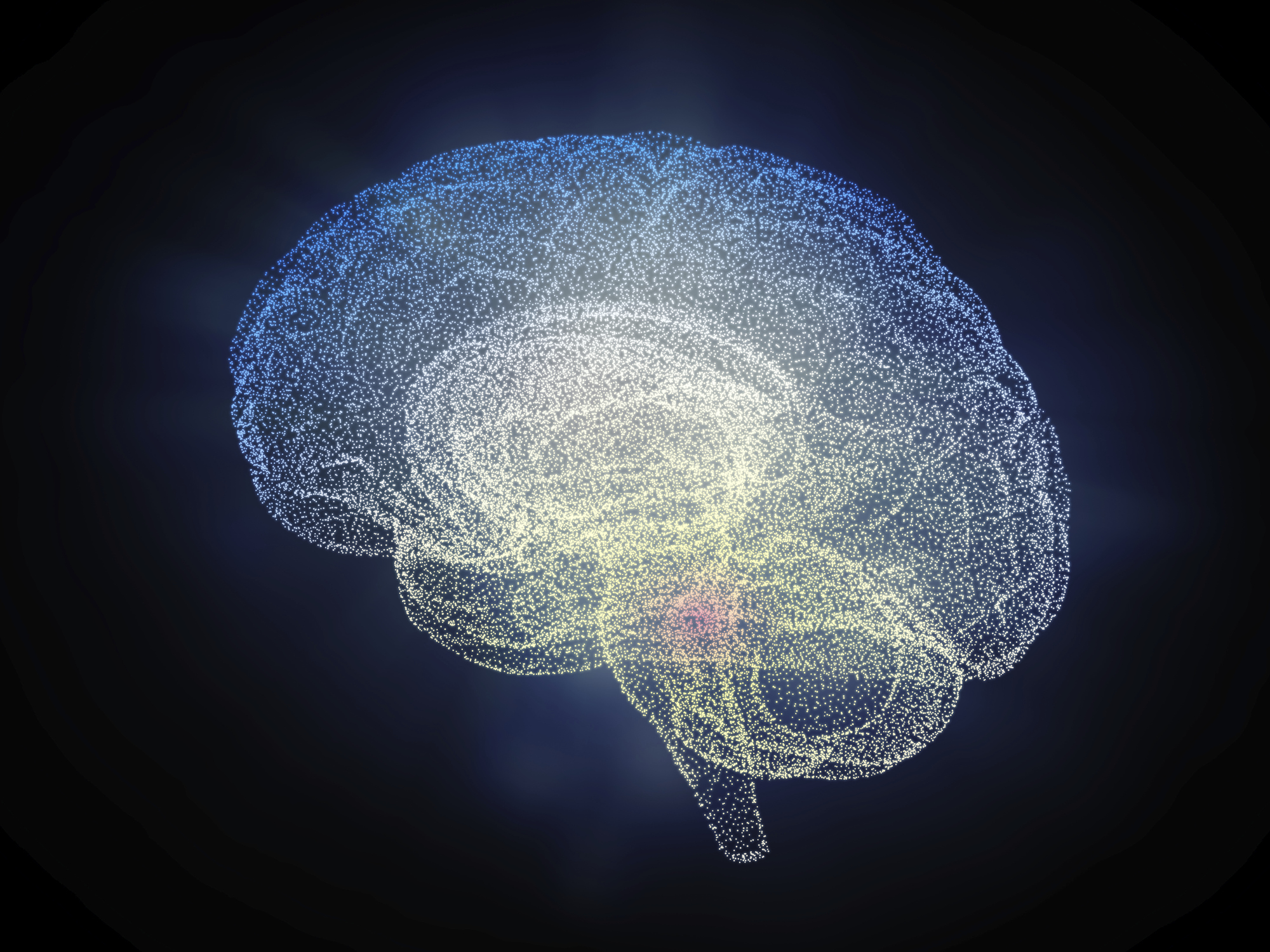 brain