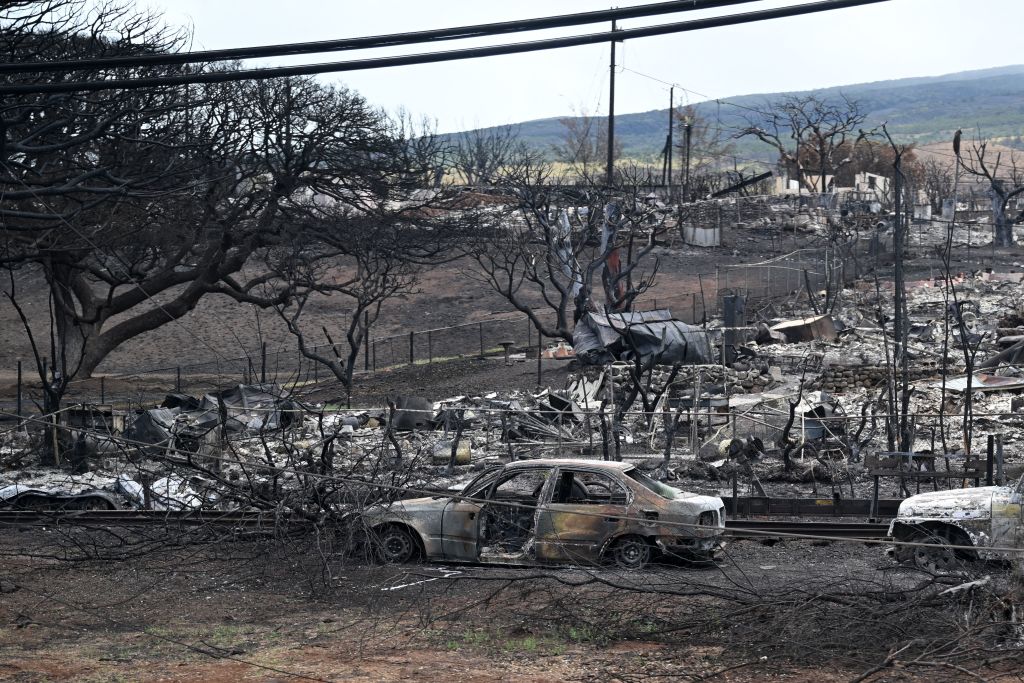 Hawaii untersucht unaufgeforderte Grundstücksangebote nach Waldbränden