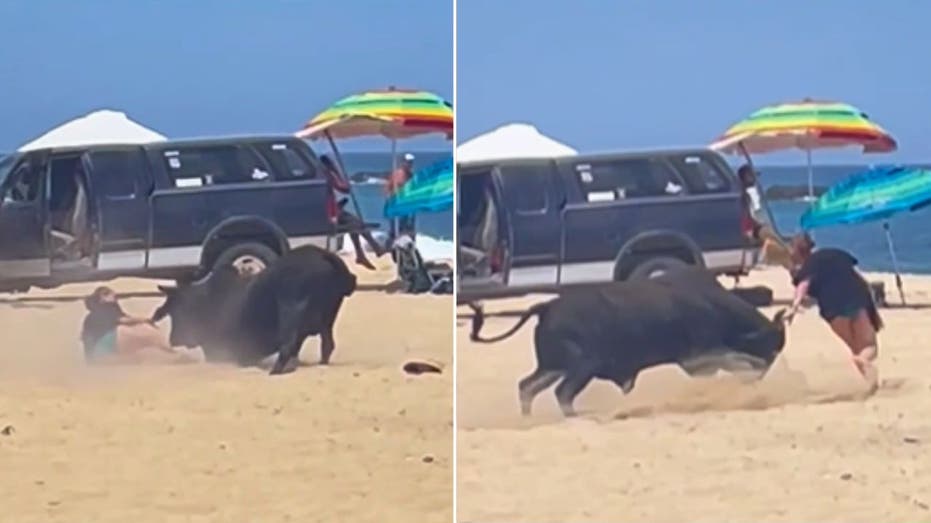 Rasender Stier greift Frau auf mexikanischen Strand an als Touristen in Panik schreien: Video