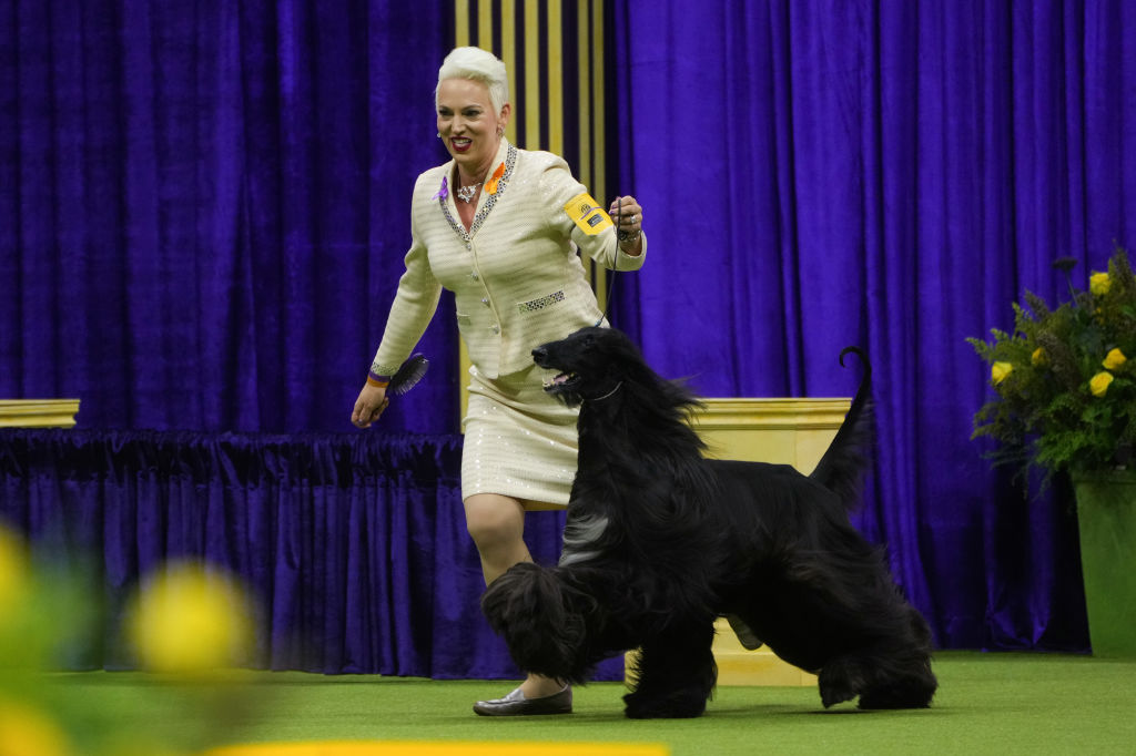 148th Annual Westminster Kennel Club Dog Show - Best In Show