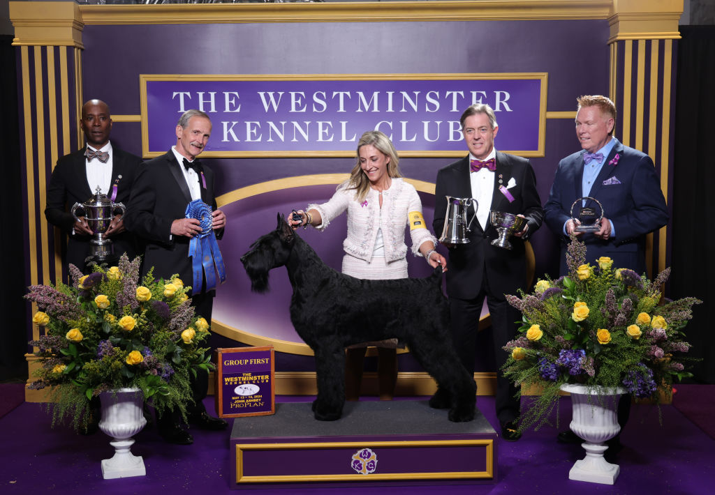 US-ANIMAL-DOG-WESTMINSTER