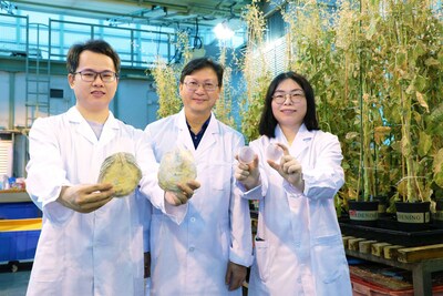 Giáo sư Qiu Jianwen (giữa), Lin Yitao (trái), nghiên cứu sinh tiến sĩ, và Li Yixuan (phải), Nghiên cứu viên sau tiến sĩ của Khoa Sinh học của HKBU đã phát hiện ra hai loài trai vỏ mỏng mới từ Hồng Kông và ở Biển Đông. Giáo sư Qiu Jianwen (giữa), Lin Yitao (trái), nghiên cứu sinh tiến sĩ, và Li Yixuan (phải), Nghiên cứu viên sau tiến sĩ của Khoa Sinh học của HKBU đã phát hiện ra hai loài trai vỏ mỏng mới từ Hồng Kông và ở Biển Đông.