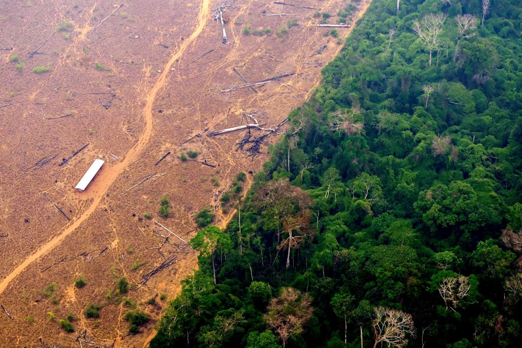 View of a deforested and burning area of the Amazon rainforest