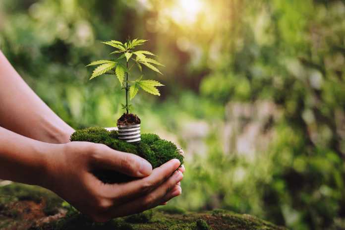 28519ad44245fa415a43faaebbafcedb 1 Trulieve to Open Florida Medical Cannabis Dispensaries in Bonita Springs and St. Augustine
