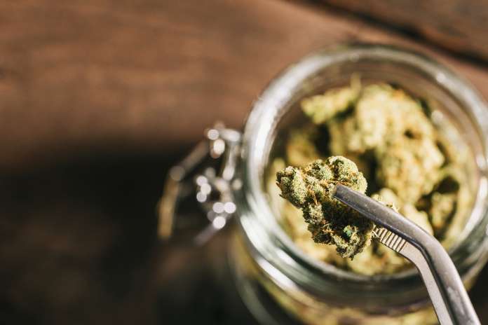 2824793e138efcf6ba1dc746e7e1d193 Sanctuary Cannabis Scotch Plains Kicks Off 4/20 Weekend with a 3-Ounce Giveaway and Community Celebration