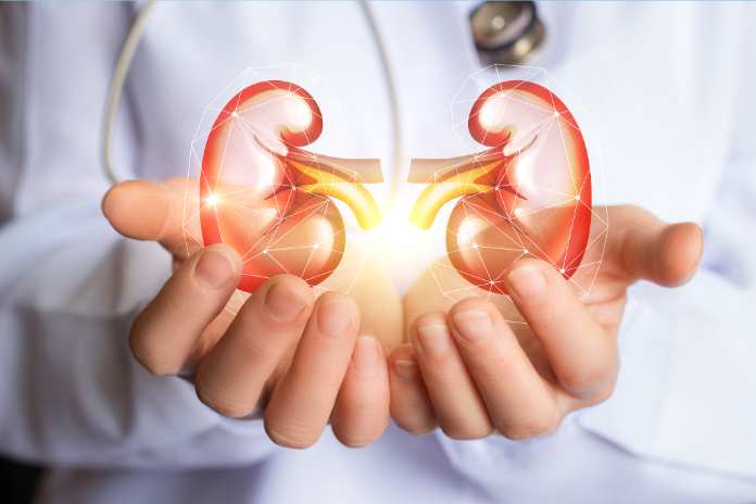 0deff6e68d8a14d0f7f0e9b4fd48bc66 2 AbbVie Stock Advances After Earnings Report