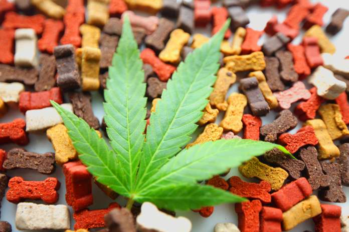 971e98cd030570024a3d9242215efb2b LEADING CANNABIS BRAND STIIIZY OPENS ITS 44TH RETAIL STORE IN HAWTHORNE, CA, ON APRIL 12TH