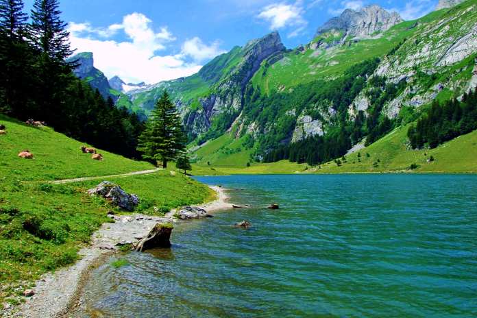 aa43c4eab610f2d7cf8a6e4146e9056a Wind-Inspired Xinjiang A Journey Through the Region's Natural Beauty and Culture