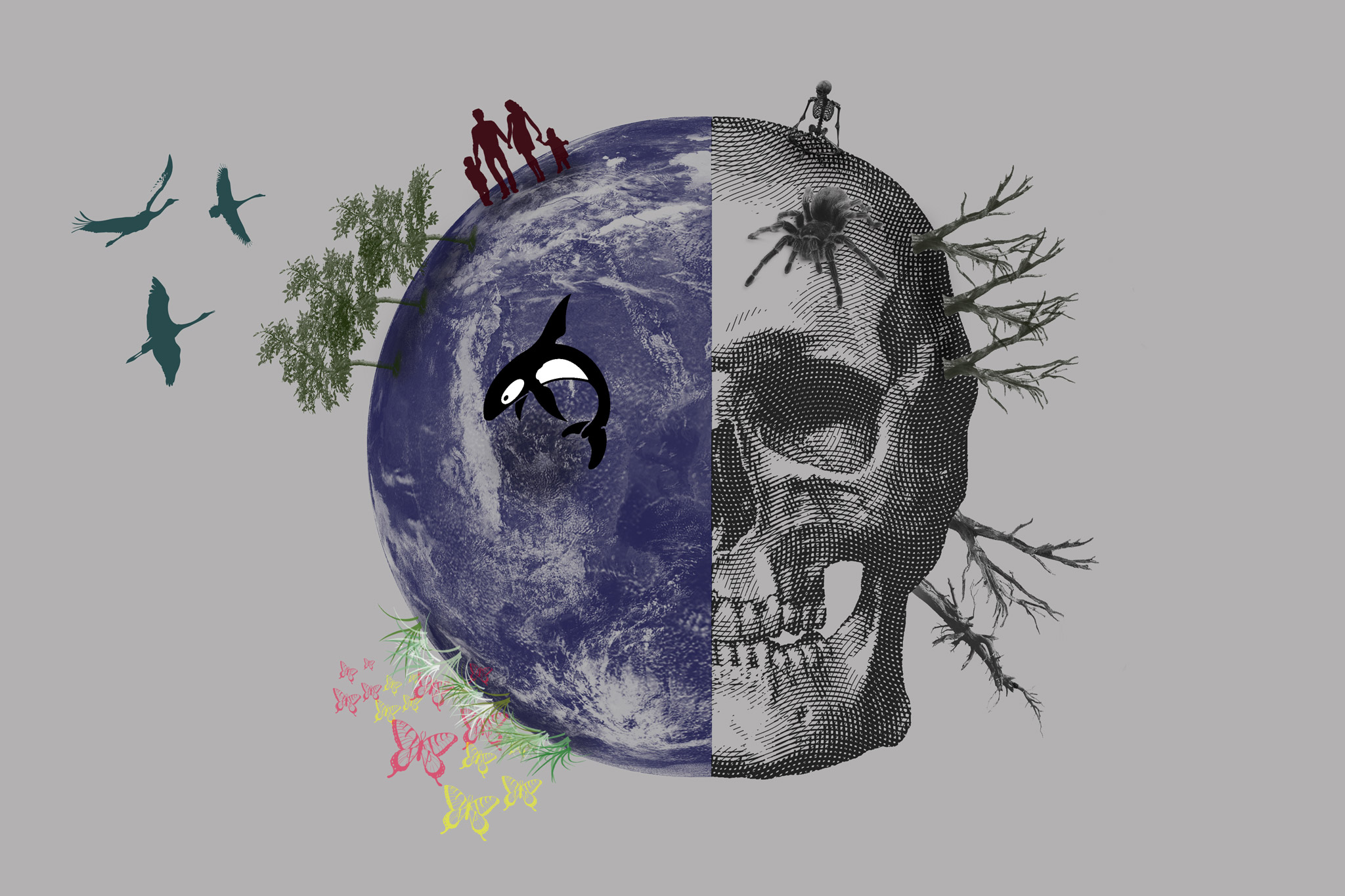 Illustration of a globe half with a skull