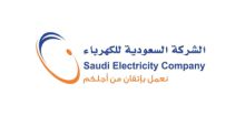 Saudi Electricity Company Achieves 30% Increase in 2025 Sustainability Rating Compared to 2024, According to S&P