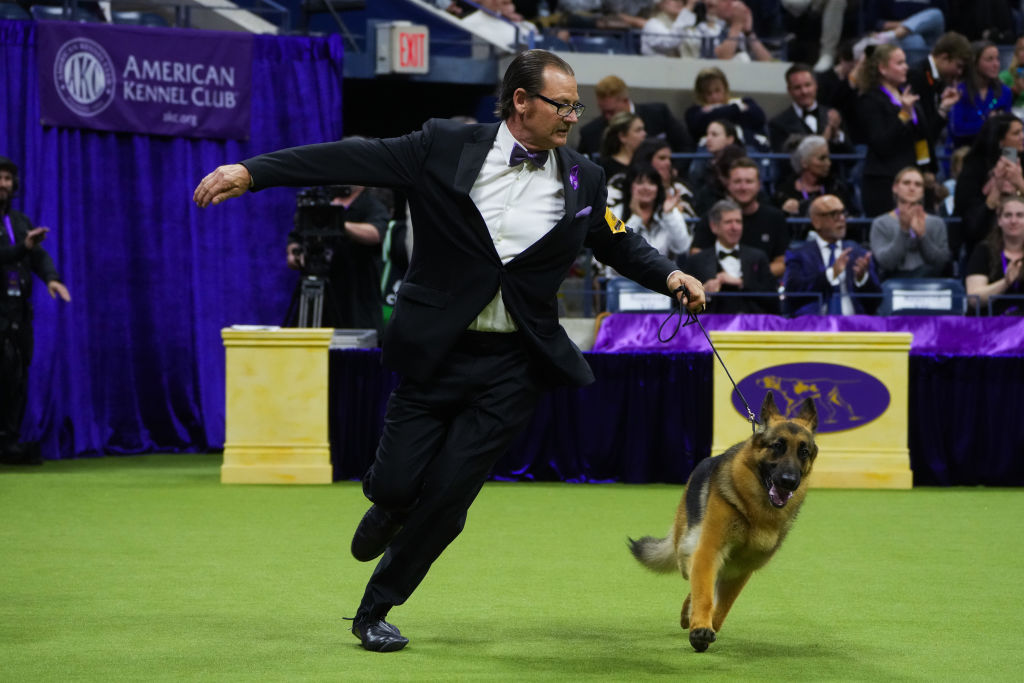 148th Annual Westminster Kennel Club Dog Show - Best In Show